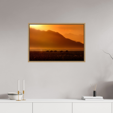 30 x 20″, M L Oak Floateer Procession of Light