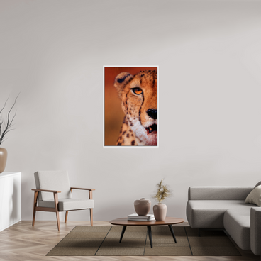 30 x 45″, L+XL White Floater Frame As It Is