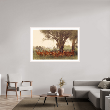 60 x 40″, Exhibition White Maple Frame + Border THE FIELD FEELS
