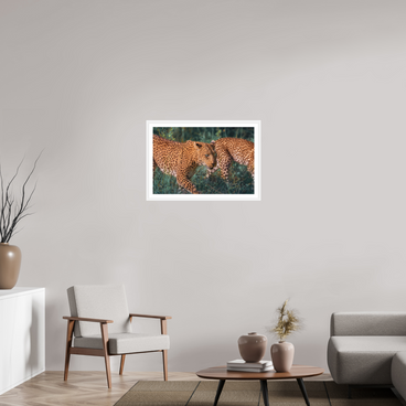 30 x 20″, L+XL White Frame + Border UNTAMED OPULENCE