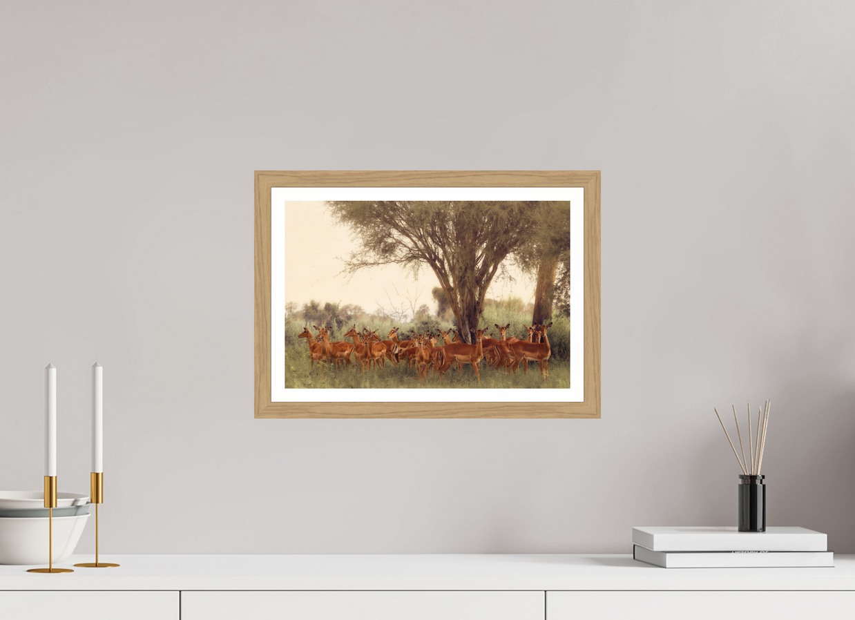 15 x 10″, S+M Oak Frame + Border THE FIELD FEELS