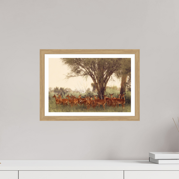 15 x 10″, S+M Oak Frame + Border THE FIELD FEELS
