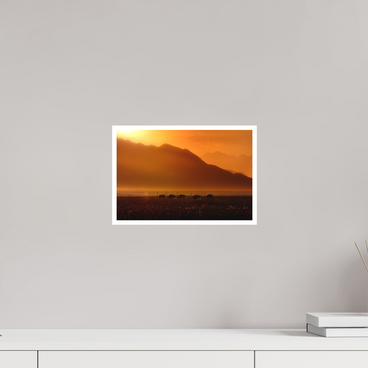 12 x 8″, S Print PROCESSION OF LIGHT