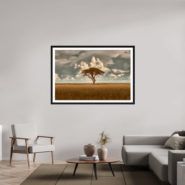 60 x 40″, Exhibition Black Frame + Border STRUCTURED CHAOS