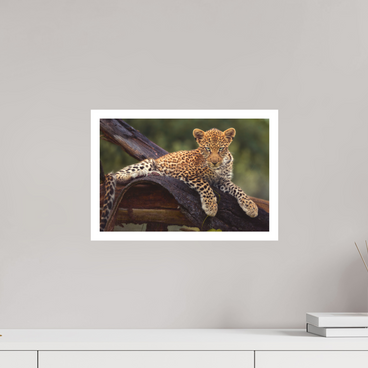 15 x 10″, M Print BEFORE KNOWING