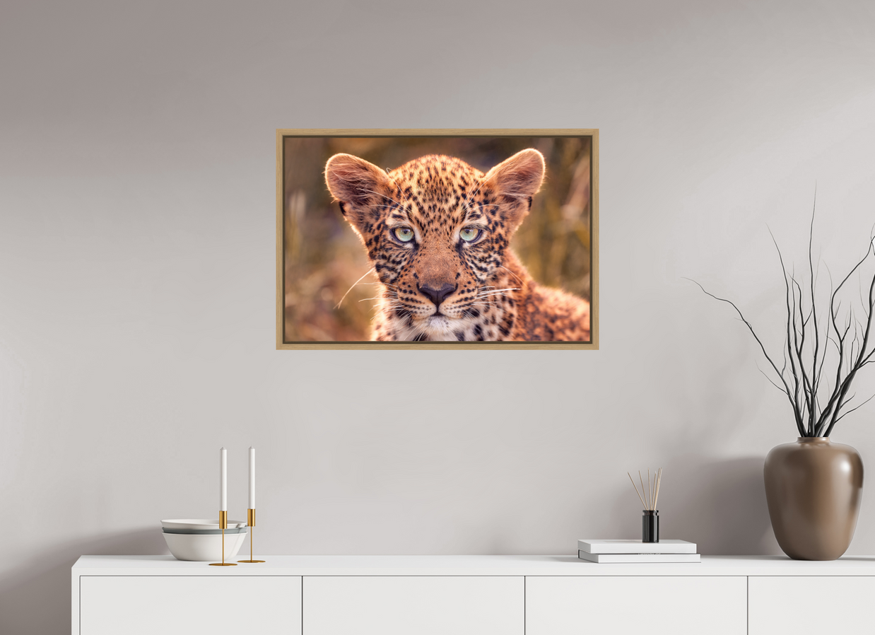 30 x 20″, L+XL Oak Floater Frame SEEN
