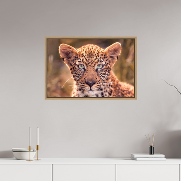 30 x 20″, L+XL Oak Floater Frame SEEN