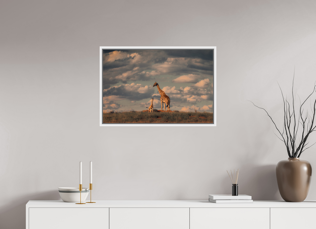 30 x 20″, L+XL White Floater Frame Lineage