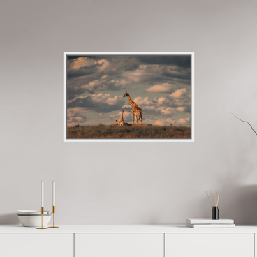 30 x 20″, L+XL White Floater Frame Lineage