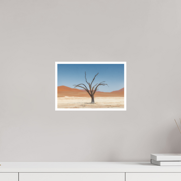 12 x 8″, S Print TO BE