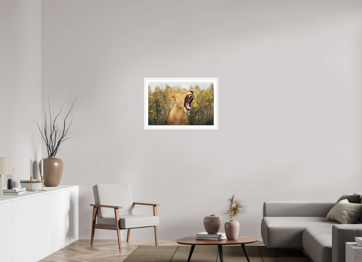 30 x 20″, L+XL White Frame + Border UNCONTAINED