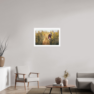 30 x 20″, L+XL White Frame + Border UNCONTAINED