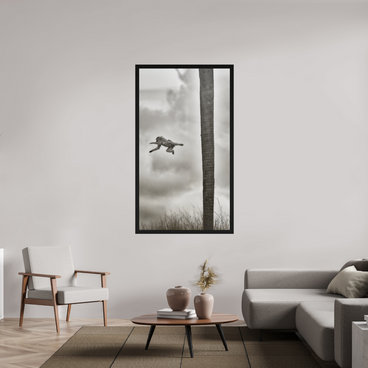 36 x 64″, Exhibition Black Floater Frame Beyond The Branch