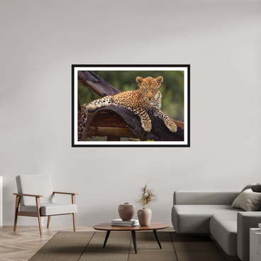 60 x 40″, Exhibition Black Frame + Border BEFORE KNOWING