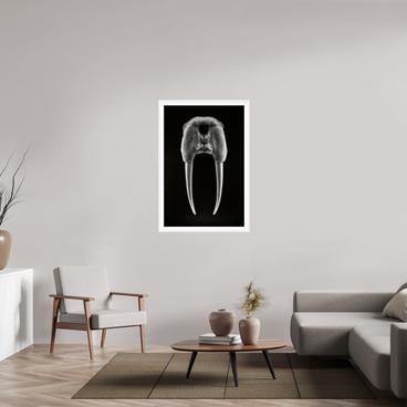 30 x 45″, L+XL White Frame + Border DENTAL PLAN