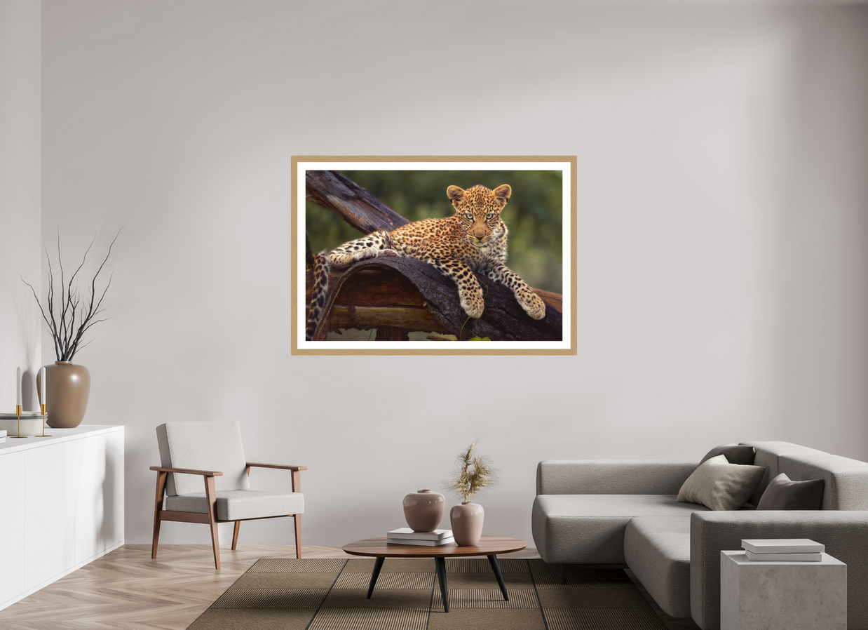 60 x 40″, Exhibition Oak Frame + Border BEFORE KNOWING