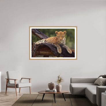 60 x 40″, Exhibition Oak Frame + Border BEFORE KNOWING
