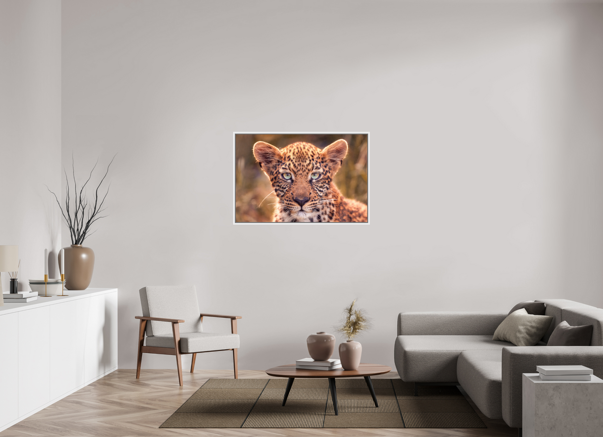 45 x 30″, L+XL White Floater Frame SEEN