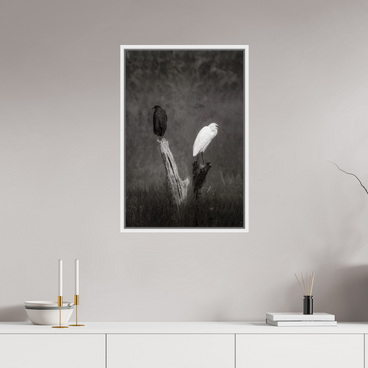 20 x 30″, L+XL White Floater Frame TWO TRUTHS