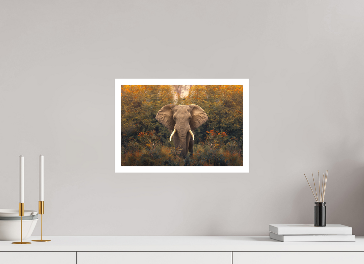 15 x 10″, M Print REVELATION