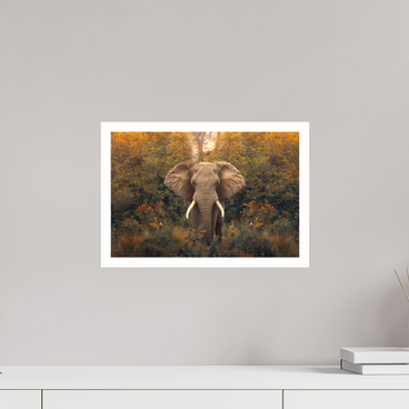 15 x 10″, M Print REVELATION