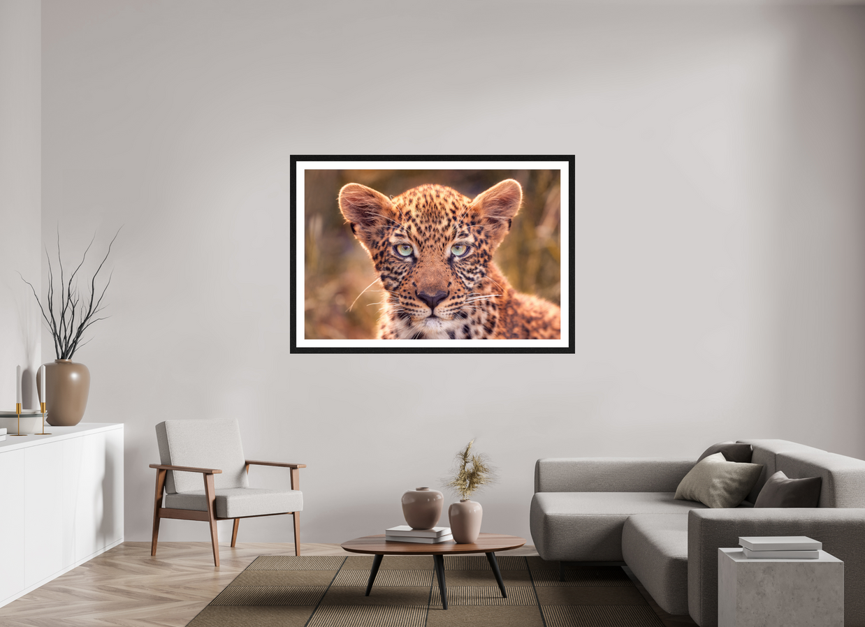 60 x 40″, Exhibition Black Frame + Border SEEN