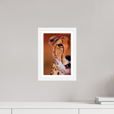 8 x 12″, S+M White Frame + Border AS IT IS