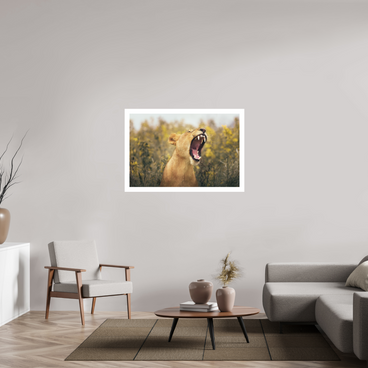 45 x 30″, XL + Exhibition Print UNCONTAINED