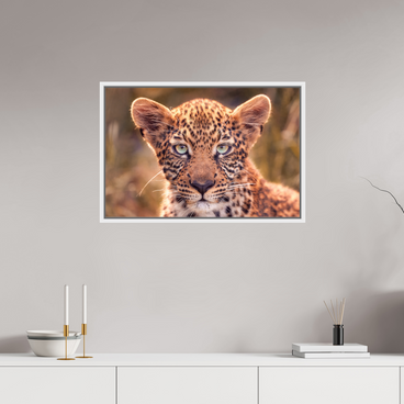 30 x 20″, L+XL White Floater Frame SEEN