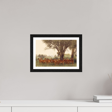 12 x 8″, S+M Black Frame + border THE FIELD FEELS