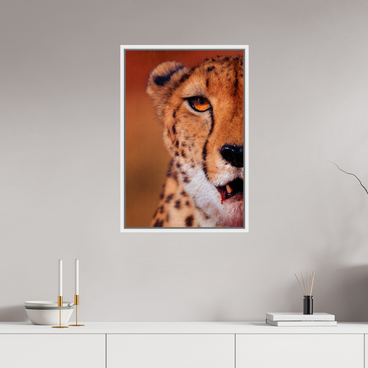 20 x 30″, L+XL White Floater Frame As It Is
