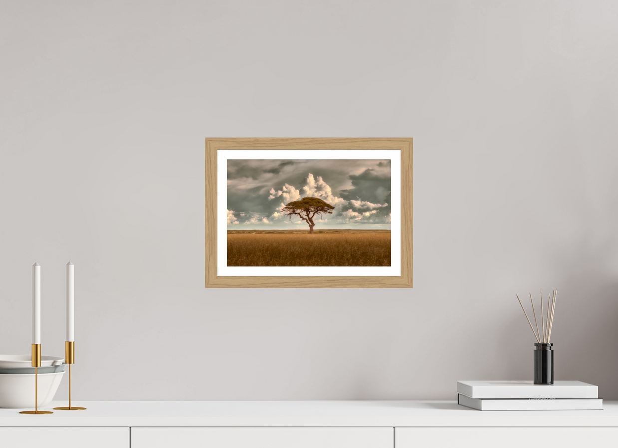 12 x 8″, S+M Oak Frame + Border STRUCTURED CHAOS