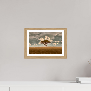 12 x 8″, S+M Oak Frame + Border STRUCTURED CHAOS