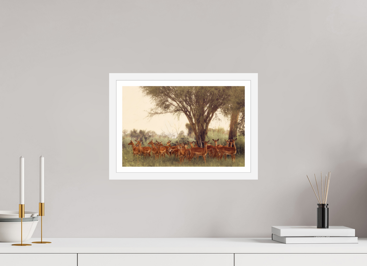 15 x 10″, S+M White Frame + Border THE FIELD FEELS