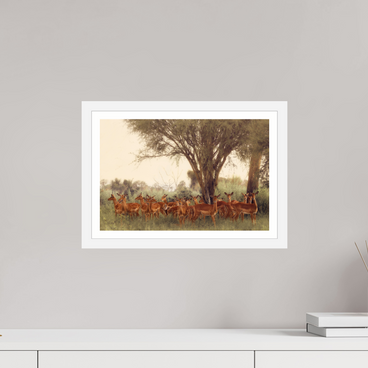 15 x 10″, S+M White Frame + Border THE FIELD FEELS