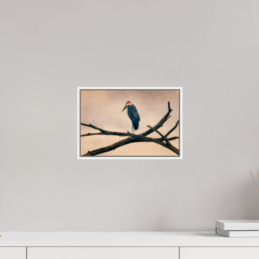 12 x 8″, Sml White Floater Frame The Last Witness
