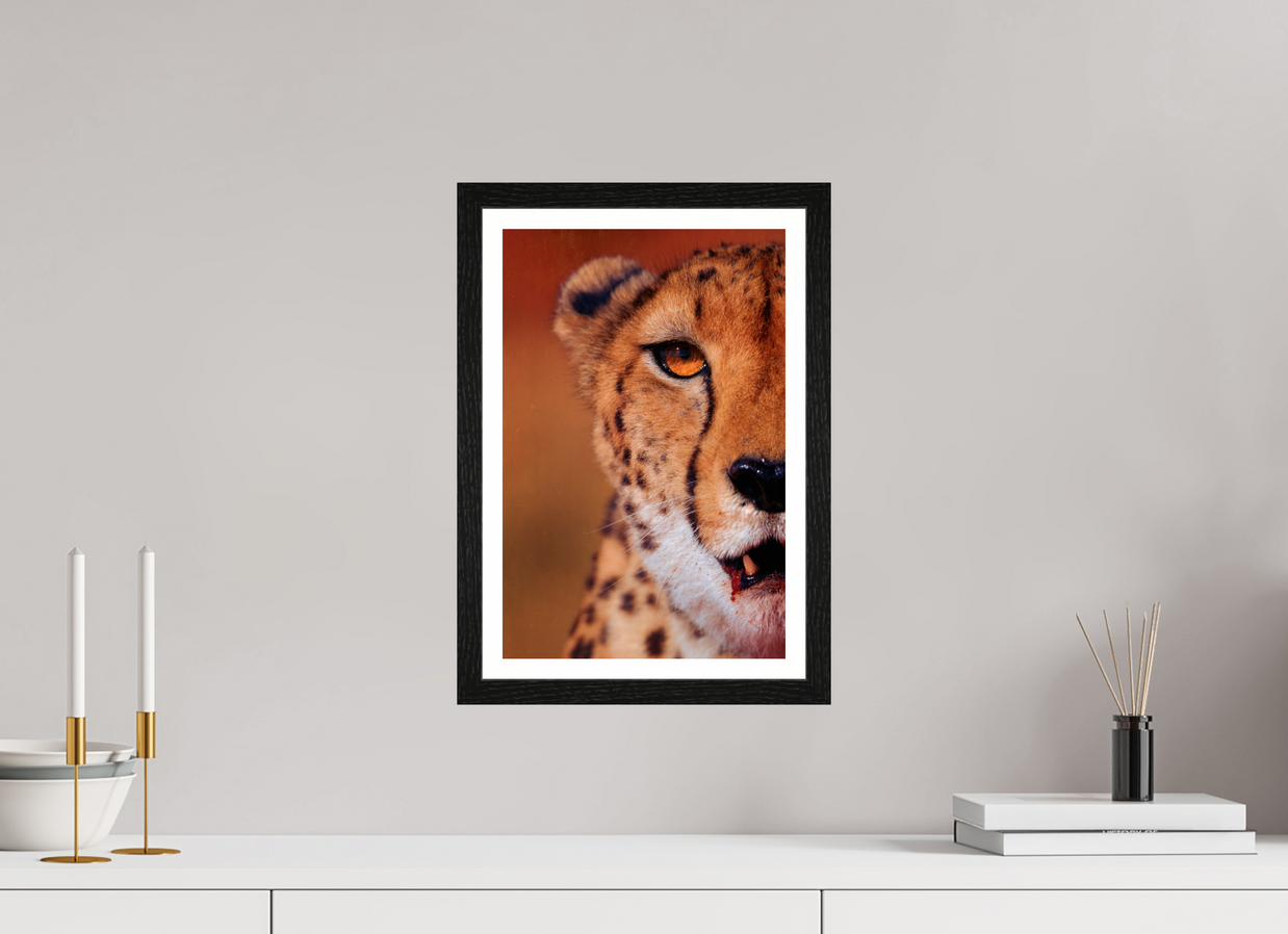 10 x 15″, S+M Black Frame + border AS IT IS