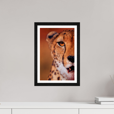 10 x 15″, S+M Black Frame + border AS IT IS