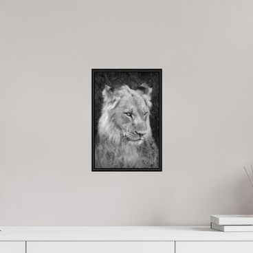 8 x 12″, S+M Black Floater Frame Heavy will be the Crown