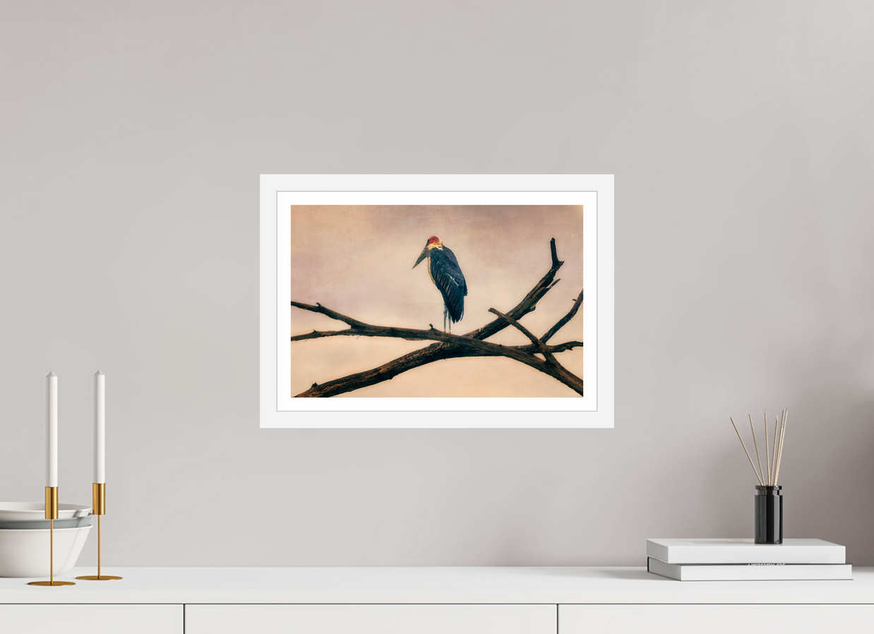 15 x 10″, SML WHT BORDER FRAME The Last Witness