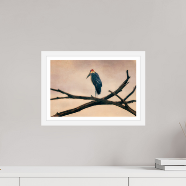 15 x 10″, SML WHT BORDER FRAME The Last Witness