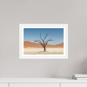 15 x 10″, S+M White Frame + Border TO BE