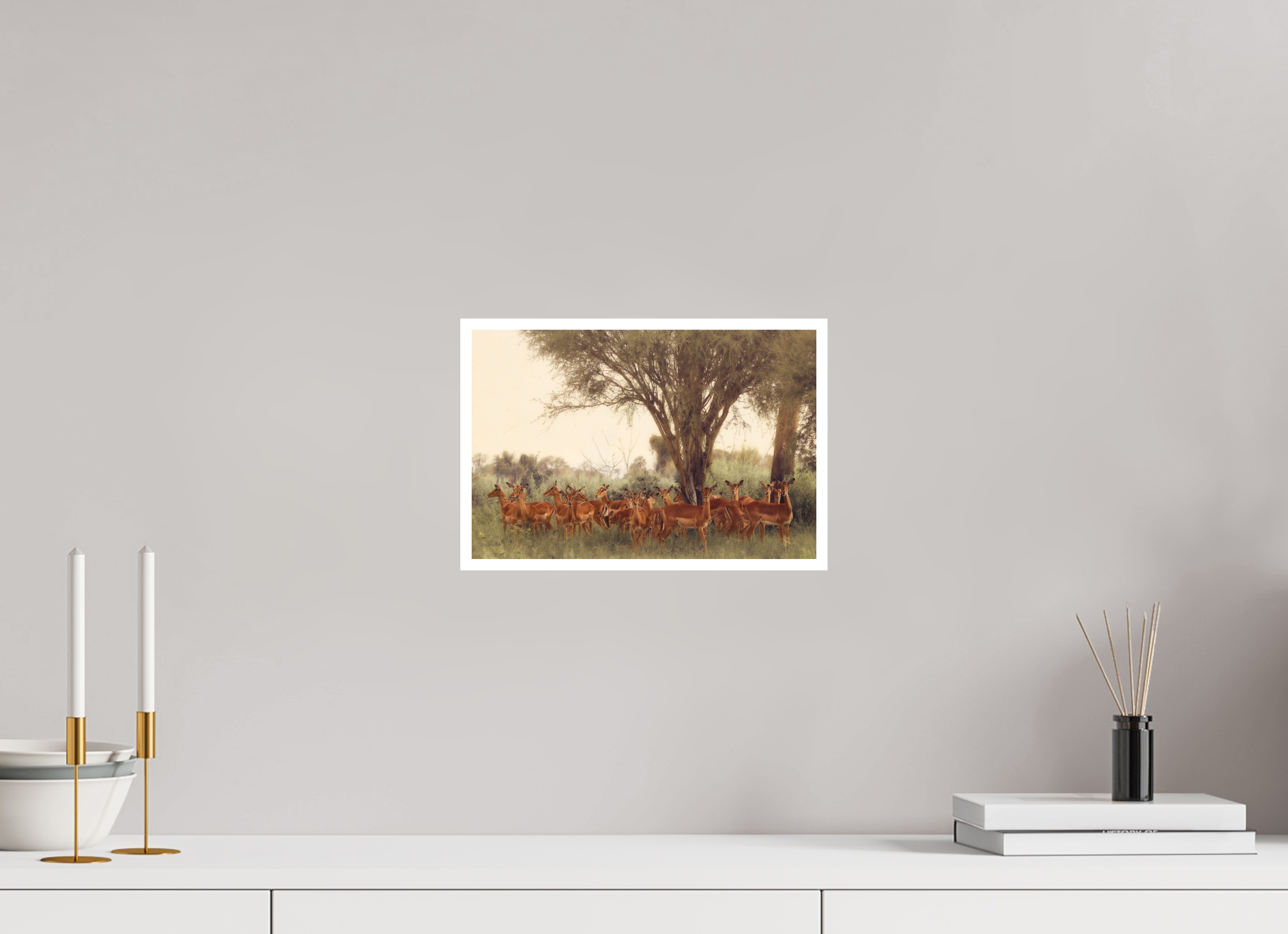 12 x 8″, S Print THE FIELD FEELS