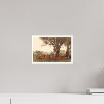 12 x 8″, S Print THE FIELD FEELS