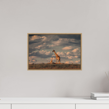 15 x 10″, S+M Oak Floater Frame Lineage