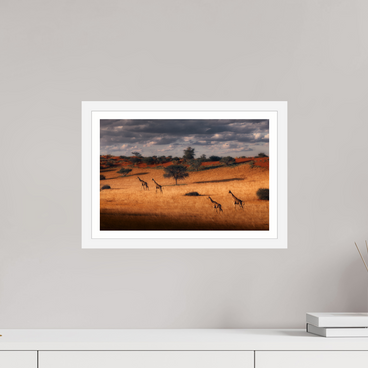 15 x 10″, S+M White Frame + Border SYMPHONY OF SILENCE