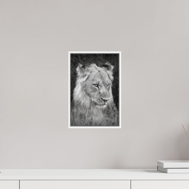 8 x 12″, S+M White Floater Frame Heavy will be the Crown