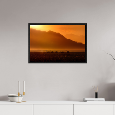 30 x 20″, M L black Floater Procession of Light