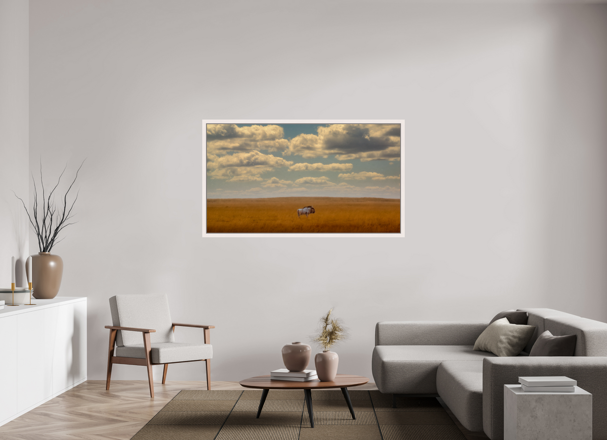 64 x 36″, Exhibition Maple White Floater Frame FREEDOM OF EXPOSURE