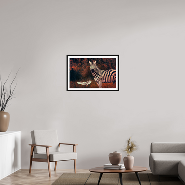 30 x 20″, L+XL Black Frame + Border PASSING THROUGH